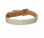 Chien Collier Lara Beige M 38-48cm 25mm