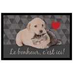 Tapis d'entree 40 x 60 cm Animaux complices