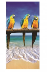 Serviette de plage 75 x 150 cm Perroquets paradisiaque